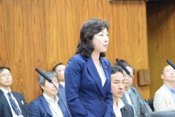発言する女性の写真