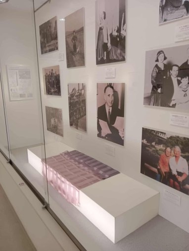 展示の様子