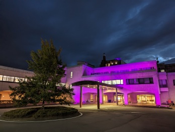 パープルにライトアップされた本館の写真